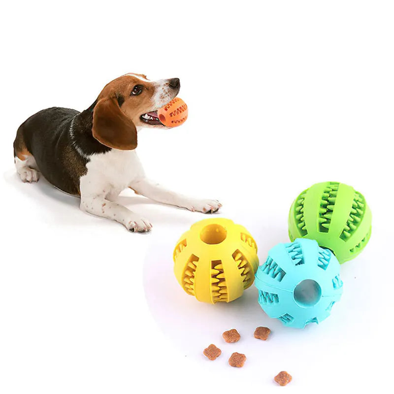 Dog Ball Toy Puppy Chew Toy